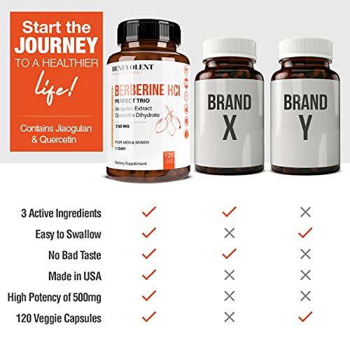Premium Berberine HCL 730mg - 120 VCAPS Perfect Trio Complex with Non-GMO Jiaogulan Benevolent Nourishment