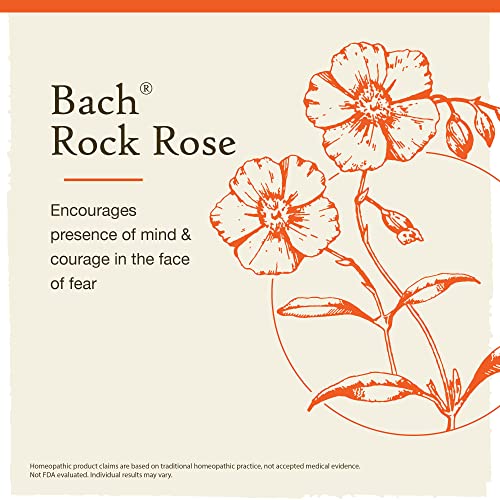 Bach Original Flower Remedies, Rock Rose for Courage (Non-Alcohol Formula), Natural Homeopathic Bach