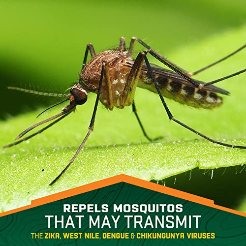 Repel 100 Insect Repellent, Repels Mosquitos, Ticks and Gnats, For Severe Repel