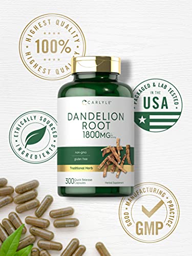 Carlyle Dandelion Root Capsules 1800mg | 300 Count | Non-GMO, Gluten Free Carlyle