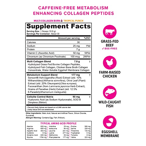 Hydrolyzed Collagen Peptides Powder for Women - Slimming Multi Collagen Burn Ultimate 