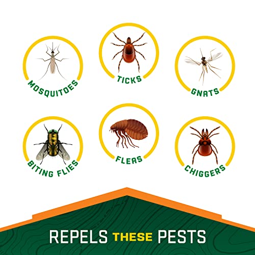 Repel 100 Insect Repellent, Pump Spray, 4-Fluid Ounces, 10-Hour Protec Repel