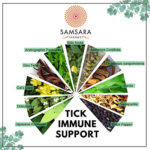 Samsara Herbs Tick Immune Support - The Original Herbal Formula (240 Capsules) Samsara Herbs
