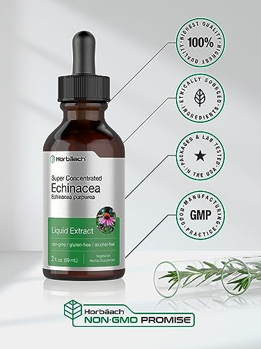 Echinacea Drops Liquid Extract | 2 fl oz | Super Concentrated Tincture | Alcohol Free Horbäach