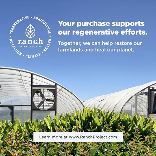 Ancient Nutrition Supergreens Powder, Organic Superfood Powder with Collagen Ancient Nutrition