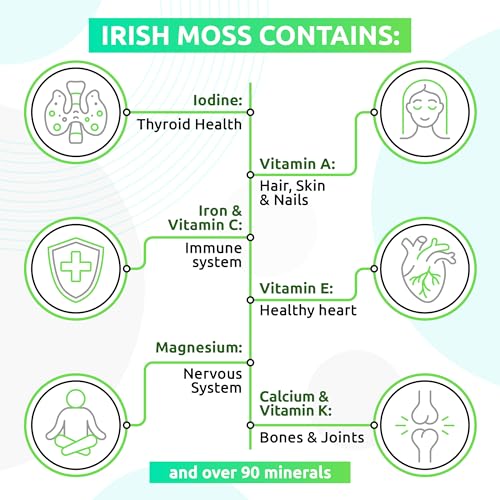 TrueSeaMoss Wildcrafted Irish Sea Moss Gel – Nutritious Raw Seamoss Rich in Minerals TrueSeaMoss