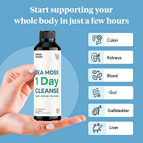 Sea Moss 1 Day Cleanse - Full Body Detox to support bowel movements, Kidney Health Atlantic Naturals