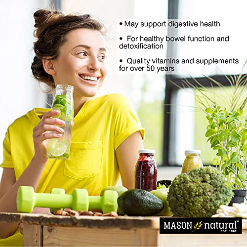 MASON NATURAL Peppermint Oil 50 mg Enteric Coated - Natural Gastrointestinal Comfort MASON NATURAL
