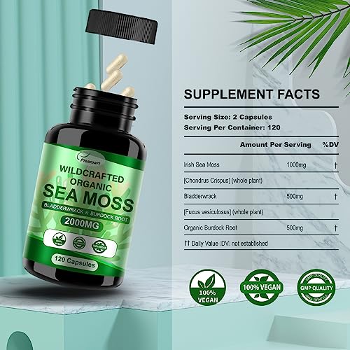 Fleamart 2 Pack Irish Sea Moss Capsules 120ct Raw Organic Sea Moss Wildcrafted Bladder Fleamart