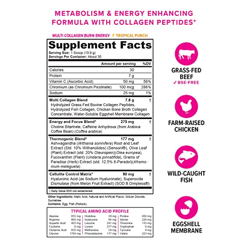 Multi Collagen Burn: Multi-Type Hydrolyzed Protein Peptides with Hyaluronic Acid, Vitamin Vitauthority