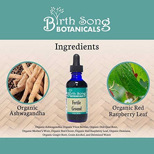 Birth Song Botanicals Fertile Ground Fertility Liquid Tincture, Herbal Supplement to Help Regulate Birth Song Botanicals
