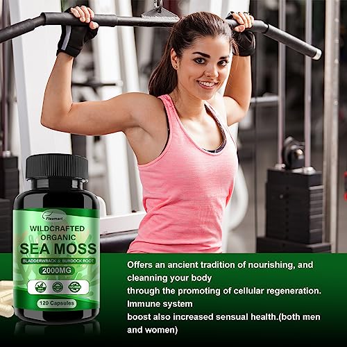 Fleamart 2 Pack Irish Sea Moss Capsules 120ct Raw Organic Sea Moss Wildcrafted Bladder Fleamart