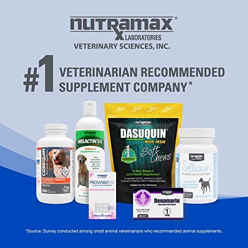 Nutramax Cobalequin B12 Supplement for Cats and Small Dogs, 45 Count (Pack of 1) Nutramax Laboratories