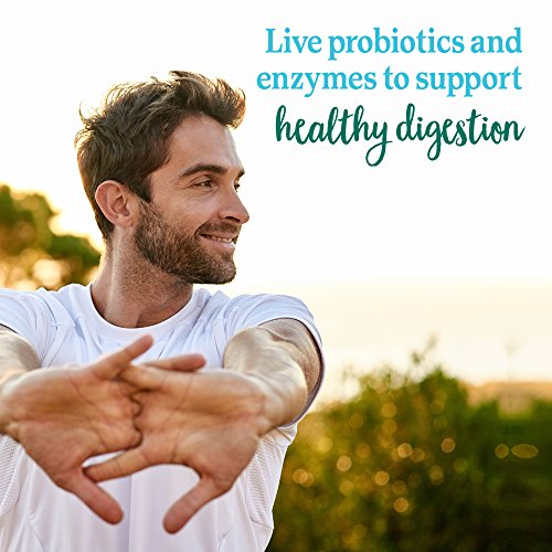 Garden of Life Perfect Food Super Green Formula - 14 Servings | 45 Superfoods, Greens Garden of Life