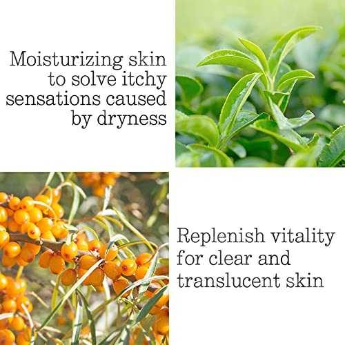 Pyunkang Yul Low pH Feminine Wash with Green Tea, Cica, Moisturizing for Women Vaginal Health Pyunkang Yul