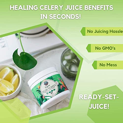 Organic Celery Juice Powder (40 Servings) Supports Gut Health, Detox Juice Cleanse Paradise Naturals, Purest Ingredients from the Source