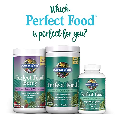 Garden of Life Perfect Food Super Green Formula - 14 Servings | 45 Superfoods, Greens Garden of Life