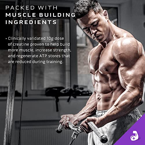 MuscleTech Mass Gainer Protein Powder, Mass-Tech Extreme 2000, Muscle Builder MuscleTech