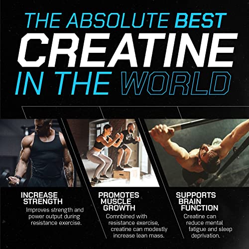 Muscle Feast Creapure Creatine Monohydrate Powder for Muscle Growth Nutritional Muscle Feast