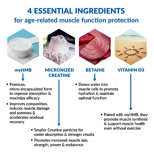 BioTrust Ageless Muscle Builder - Micronized Creatine Monohydrate Powder with HMB BioTrust