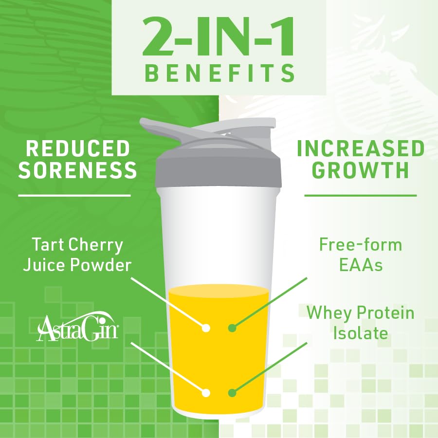 SHIFTED Whey Protein Isolate Protein Powder Post Workout Recovery Drink Mix SHIFTED