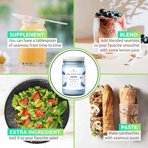 TrueSeaMoss Wildcrafted Irish Sea Moss Gel – Nutritious Raw Seamoss Rich in Minerals TrueSeaMoss