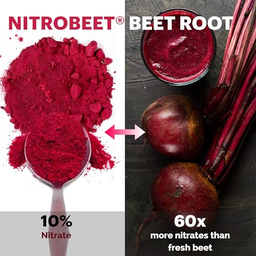 UpNourish Beet Root Powder Nitric Oxide Booster - L arginine L Citrulline Supplements UpNourish