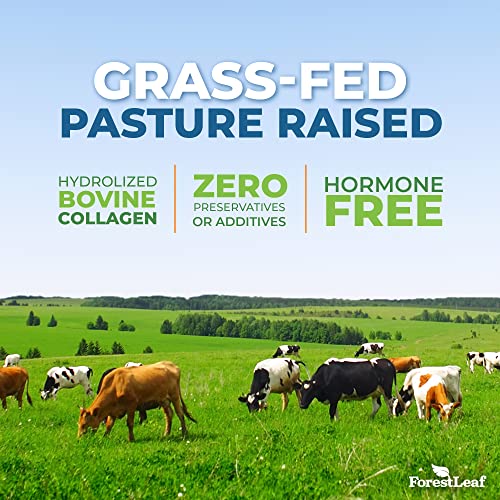 Collagen Peptides Powder Unflavored - Hydrolyzed Collagen Protein Powder