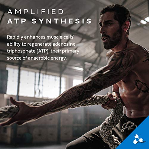 MuscleTech Whey Protein Powder Nitro-Tech | Isolate & Peptides & Cell-Tech Creactor MuscleTech