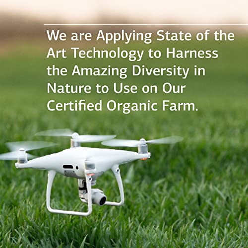 Standard Process Iodomere - Whole Food Metabolism and Thyroid Support with Echinacea Standard Process Inc.