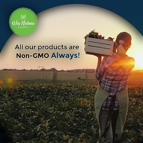 Via Natura Organics Apple Cider Vinegar Capsules 1000mg | Organic Herbal Supplement Via Natura Organics