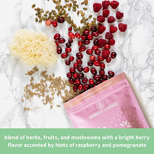 Sprout Living Epic Protein Pro Collagen, 364 g Sprout Living