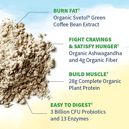 Garden of Life Raw Organic Fit Vegan Protein Powder Original, 28g Plant Based Protein Garden of Life