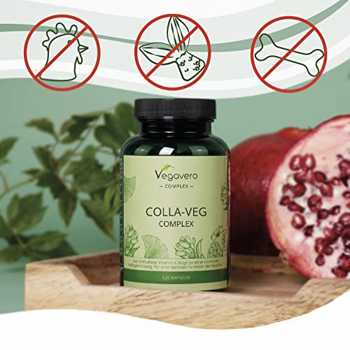 Vegavero Vegan Collagen Supplement | 2000mg | Complex with L-Lysine, L-Proline, Vitamin C (Acerola) & Superfoods Extracts | NO Additives, Lab-Tested | 120 Capsules Vegavero