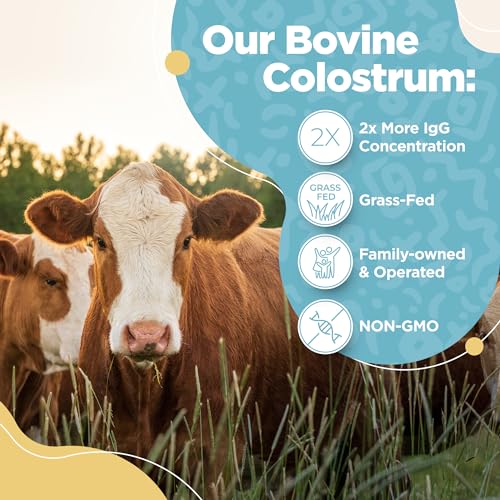 Bovine Colostrum Powder - 40% IgG Highly Concentrated Pure Bovine Colostrum InstaSkincare