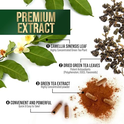 Nature's Green Tea Extract Pills 98% Standardized EGCG 1000mg - 3X Strength for Natural Nature's Nutrition