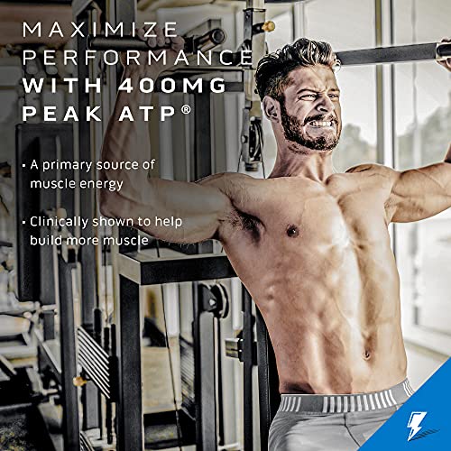 Creatine Powder | MuscleTech Cell-Tech Elite Creatine Powder | Post Workout Recovery MuscleTech