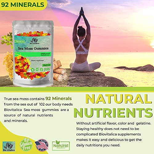Sea Moss Gummies - Irish sea Moss raw Organic, Bladderwrack, Burdock Root BIO VITALICA