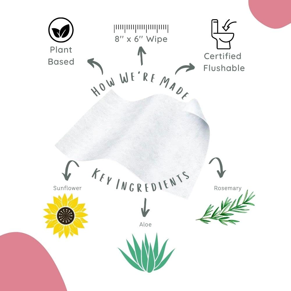 Stall Mates Wipes Feminine Fresh - Flushable | Individually Wrapped Cleansing Travel Friendly PH Stall Mates Wipes
