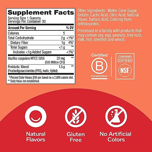 OLLY Probiotic + Prebiotic Gummy, Digestive Support and Gut Health OLLY