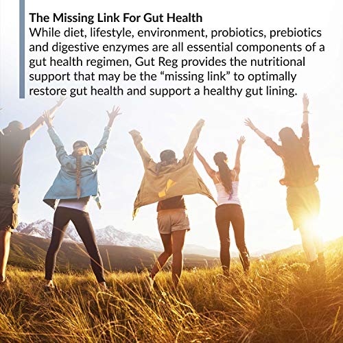 BioTrust Gut Reg Supports a Healthy Gut Lining, Helps Restore Gut Health 