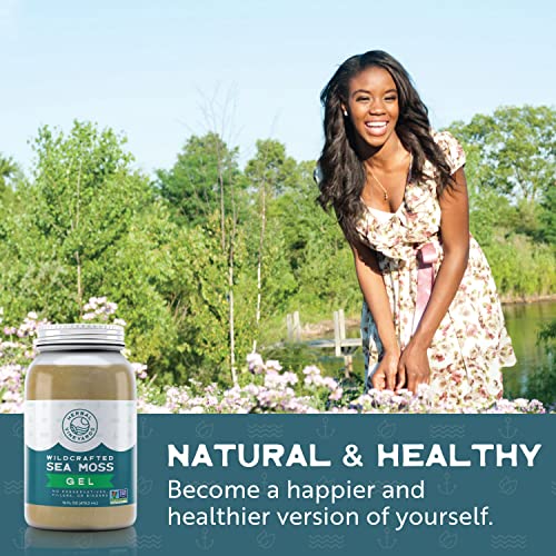 Herbal Vineyards Natural Organic Wildcrafted Gold Raw Sea Moss Gel for Immune Support Herbal Vineyards