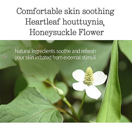 Pyunkang Yul Low pH Feminine Wash with Green Tea, Cica, Moisturizing for Women Vaginal Health Pyunkang Yul