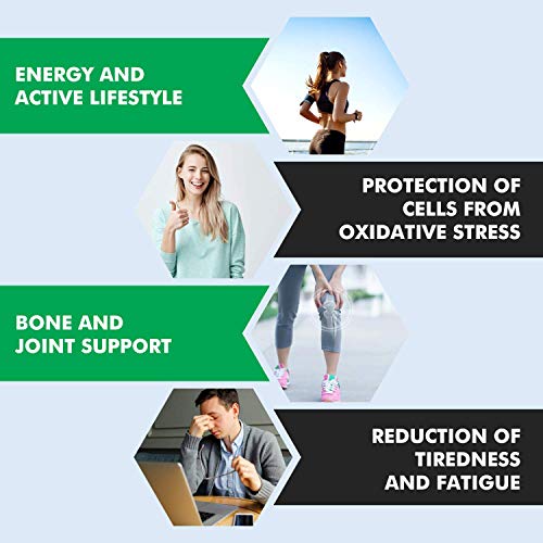 VitaBalance Collagen+ 60 Capsules for Skin, Hair, Nails, Joints & Connective Tissue Vita Sharks