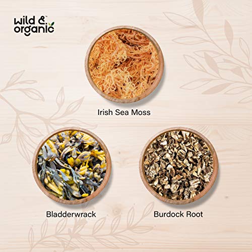 Sea Moss Capsules - 180 Caps Wildcrafted Irish Moss, Burdock Root & Bladderwrack Wild & Organic