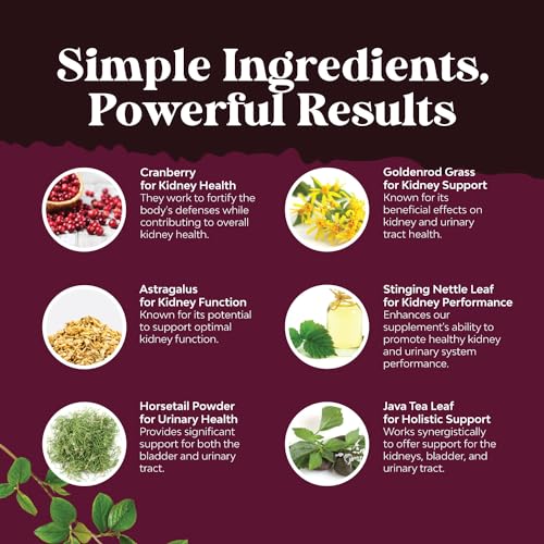 Kidney Support Cranberry Supplement for Women and Men - High Strength Kidney Natures Craft