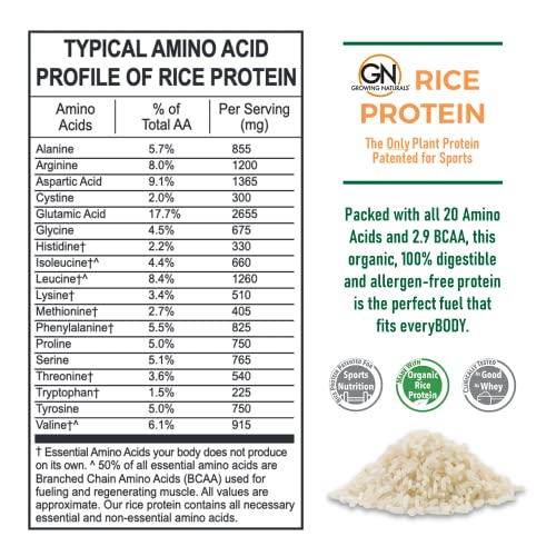 Growing Naturals | Vanilla Rice Powder 15g Plant Protein | 2.8G BCAA, Low-Carb Growing Naturals