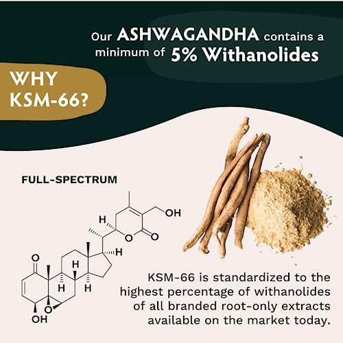 TRIBE ORGANICS Vegan Ashwagandha KSM 66 Pure Organic Root Powder Extract Ayurvedi TRIBE ORGANICS