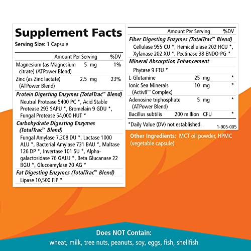 Real-Zymes™ KETO Digestive Enzymes Supplement with Probiotics for Better Digestion PURE ESSENCE LABS