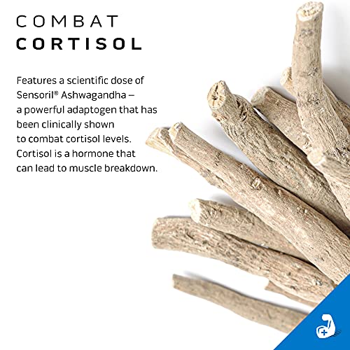 Creatine Powder | MuscleTech Cell-Tech Elite Creatine Powder | Post Workout Recovery MuscleTech